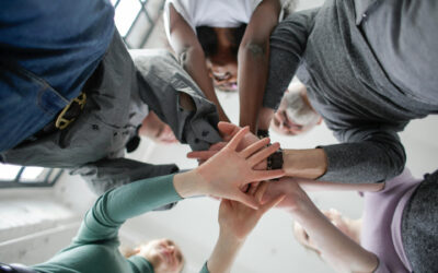 Pleo’s Family/Caregiver Advisory Committee: Call For Members